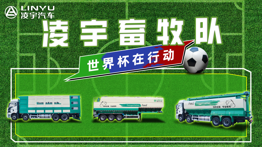 奪冠世界杯！你注意到這支球隊(duì)了嗎？